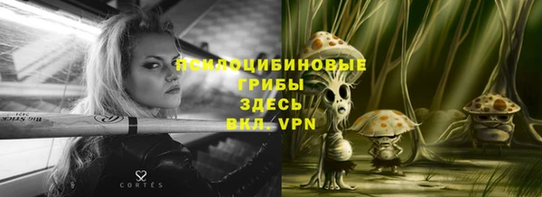 стафф Мегион