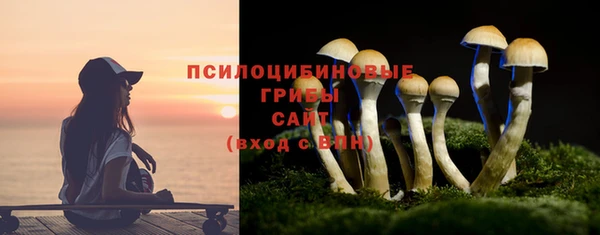 стафф Мегион