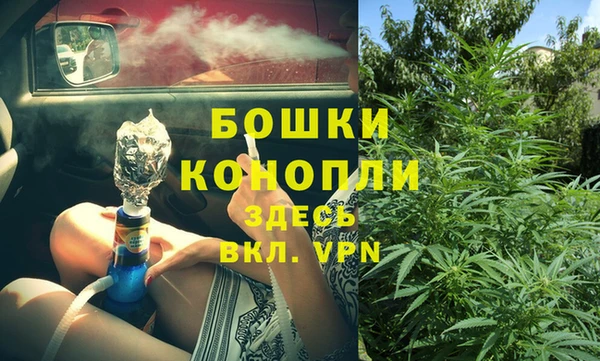 сатива Медногорск